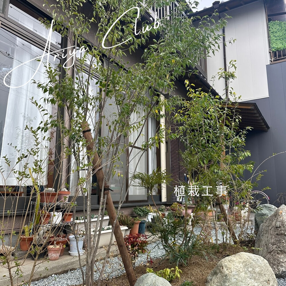 画像1719